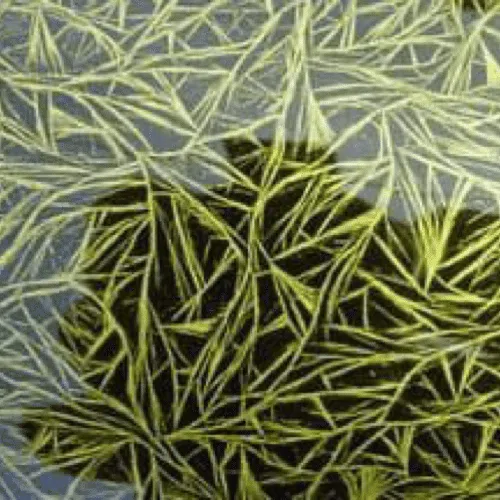 close up of crystal mess crystallized paint mask in black over yellow base